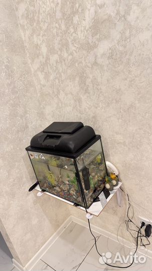 Аквариум продаю