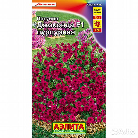 Петуния Джоконда пурпурная F1