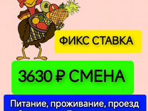 Вахта 15смен Упаковщик Отправка/питание бесплатно