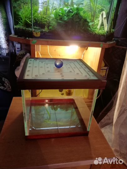 Аквариум