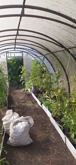 Дом 20 м² на участке 6 сот.