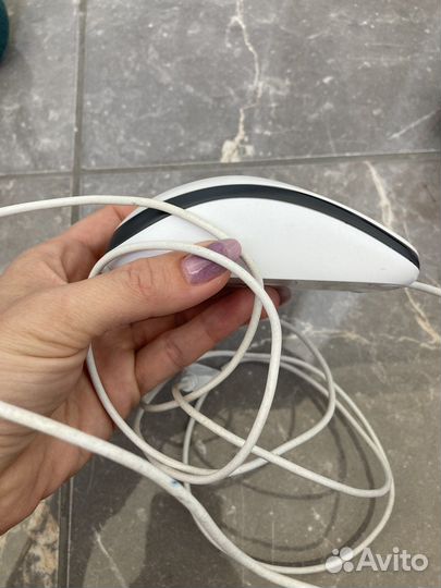 Мышь для компьютера logitech M100
