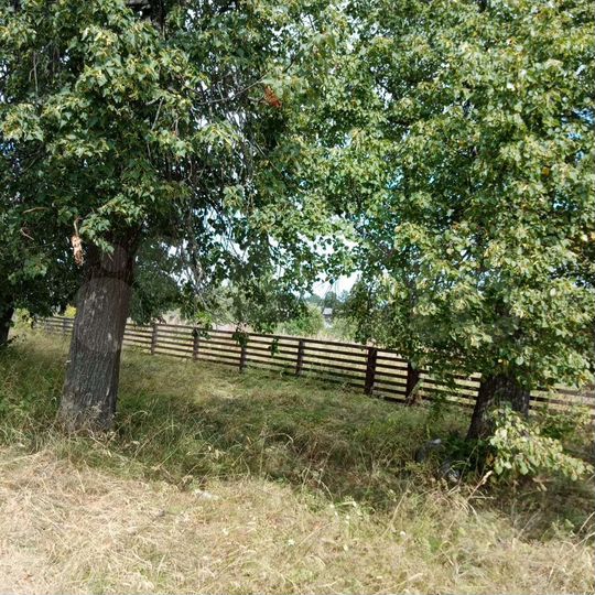 Участок 16,5 сот. (ИЖС)