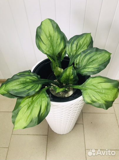 Искусственные растения в горшках