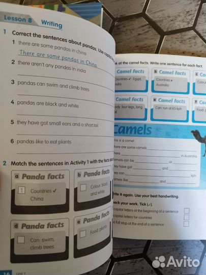 Academy stars 2 Новый комплект