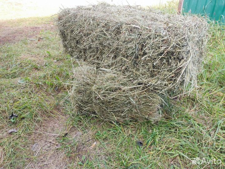 Сено разнотравье в тюках