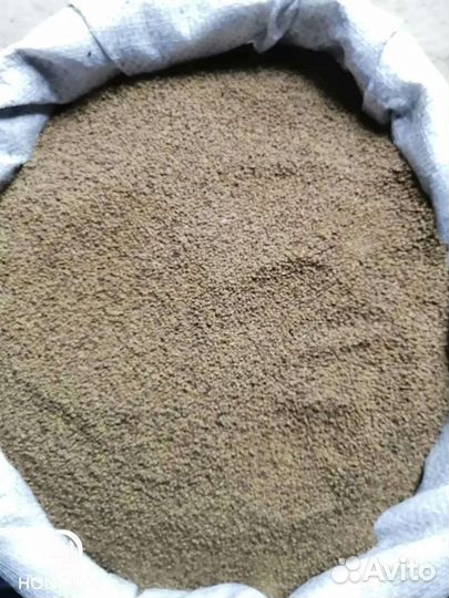 Семена люцерна