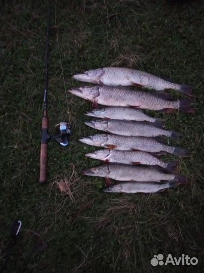 Воблеры для троллинга Osko TsuYoki Lucky BAT набор