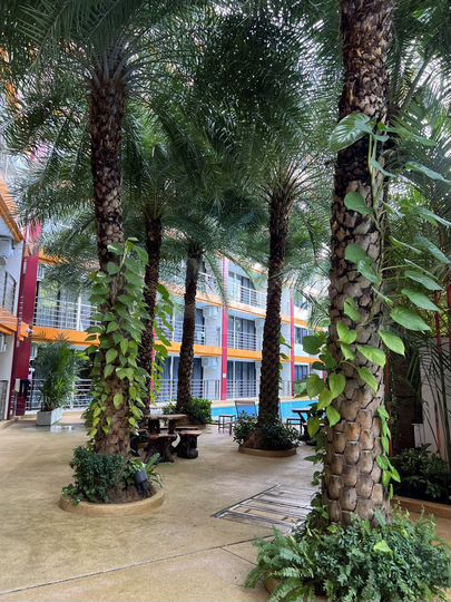 3-к. квартира (Таиланд)