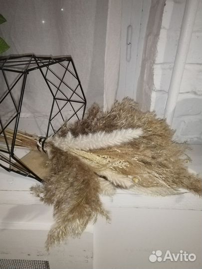 Букеты сухоцветов