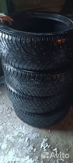Maxxis Premitra Ice Nord NP5 205/55 R16