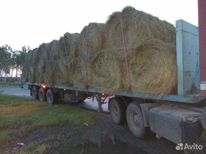 Сено в рулонах
