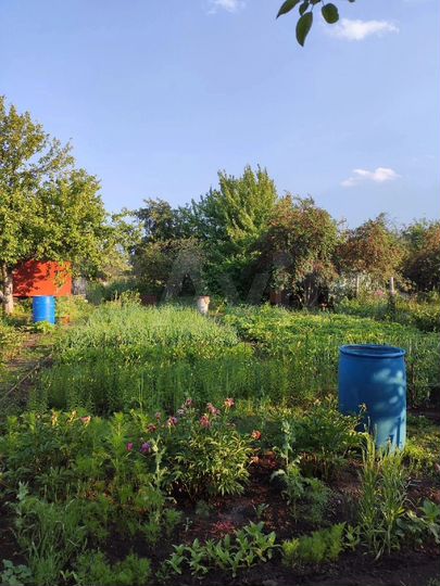 Дача 20 м² на участке 6 сот.