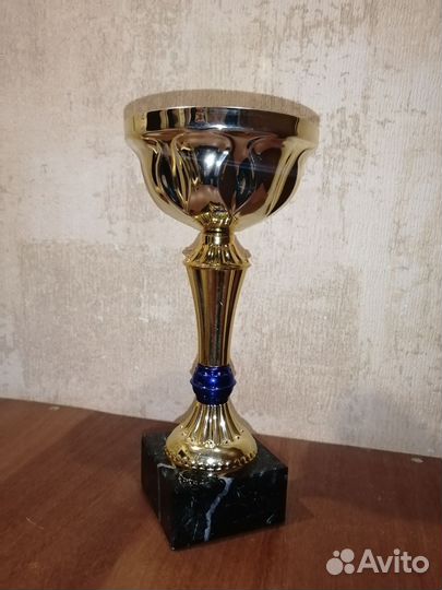 Кубок нагродной
