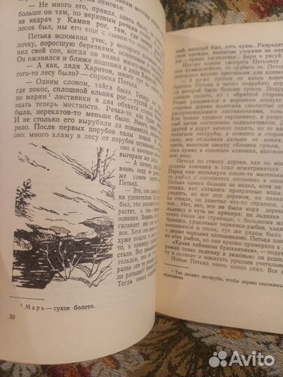 Борисов Тайна маленькой речки 1962Г