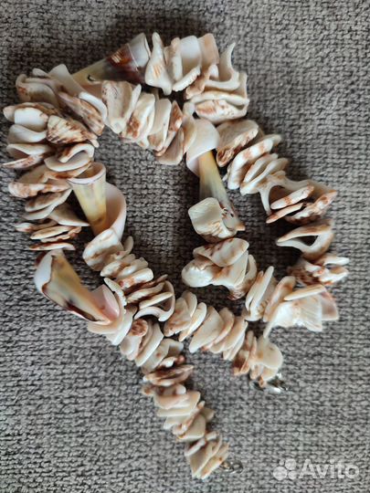 Бусы из ракушек