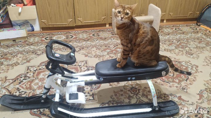 Снегокат Nika
