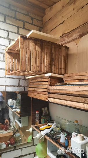 Пасека, ульи, пчелы