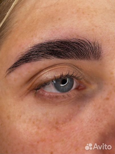 Мастер бровист