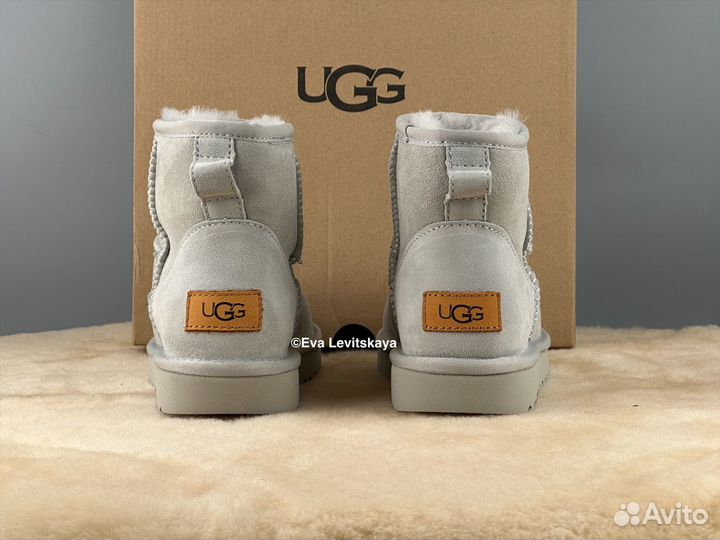 Угги женские Ugg Classic Mini II Grey-Violet