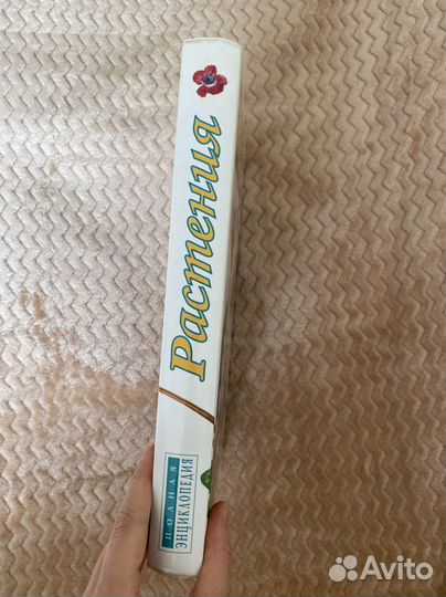 Энциклопедия 