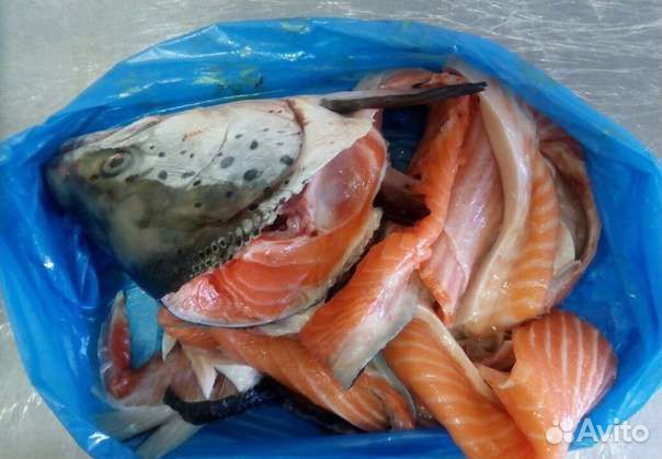 Суповой набор для ухи из лосося