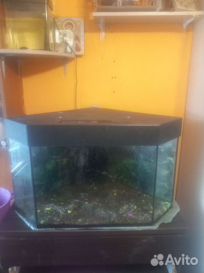 Аквариум 150 л
