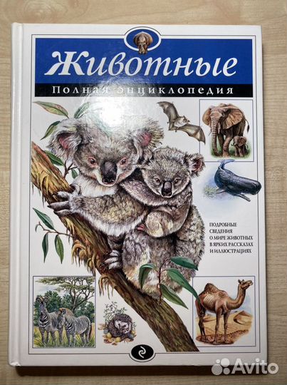 Энциклопедия про животных