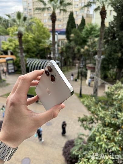 iPhone 13 Pro Max, 256 ГБ