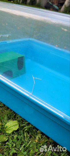 Клетка для грызунов пластиковая