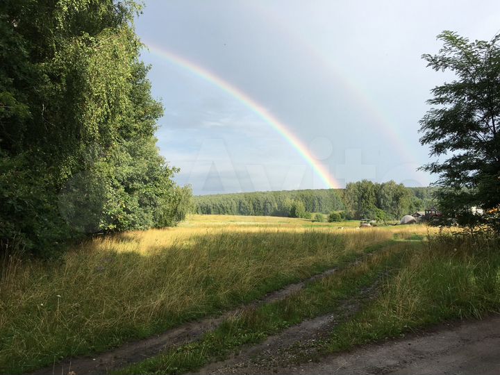 Участок 65 сот. (ИЖС)