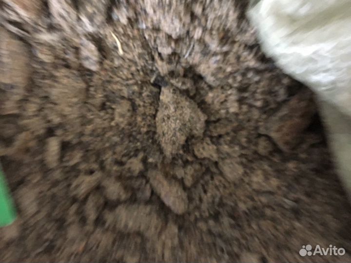 Корма для с.х животных
