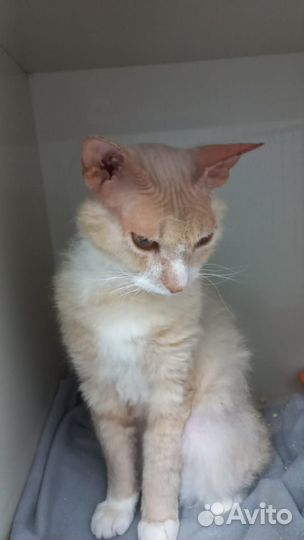 Помогите найти дом