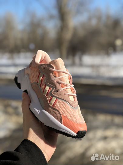 Кроссовки Adidas Ozweego женские