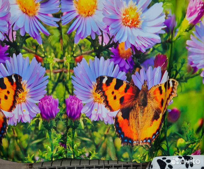 Фотошторы короткие