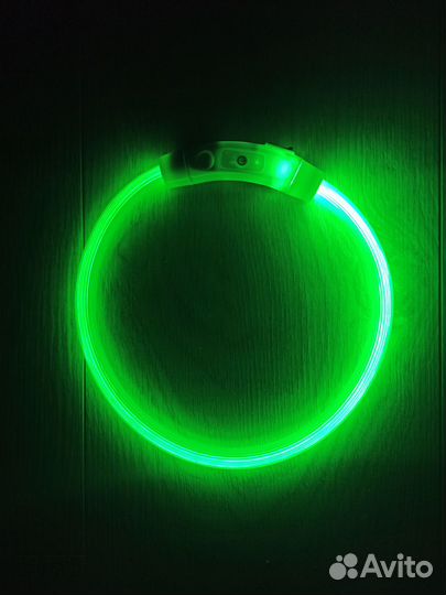 Светящийся led ошейник