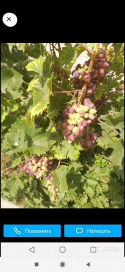 Дача 25 м² на участке 8 сот.