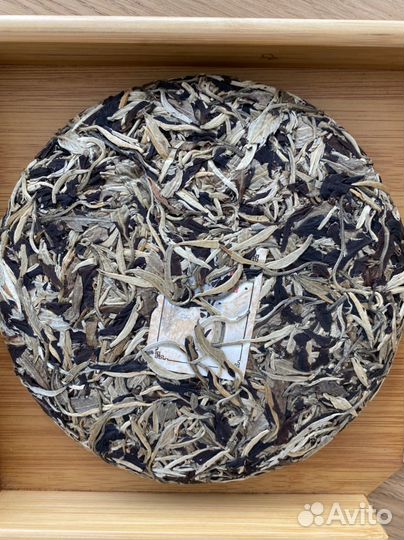 Цзинмай Юэ Гуан Бай