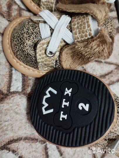 Ботинки для маленьких собак