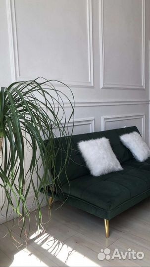 Аренда фотостудии