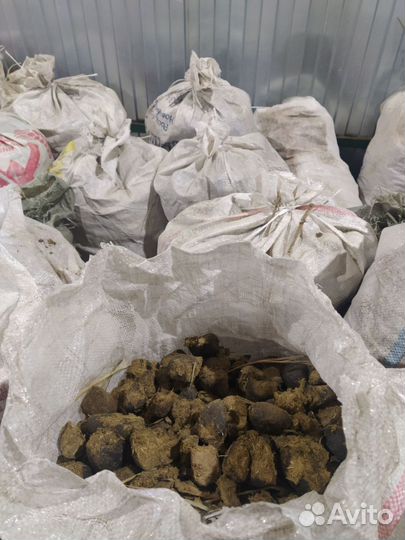 Конский навоз