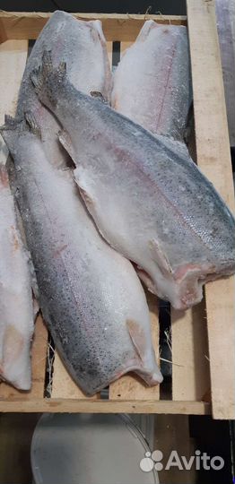 Рыбная бухта