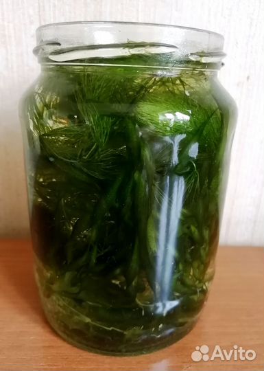 Растения для аквариума
