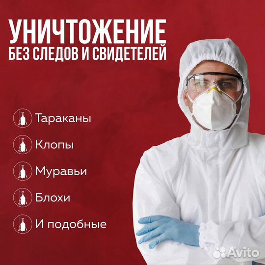 Уничтожение клопов, тараканов Дезинсекция