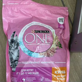 Сухой корм для котят purina one