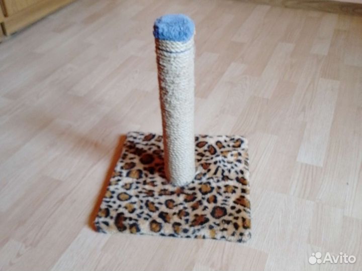 Когтеточка