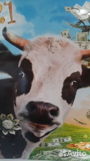 Мясо на корм животным