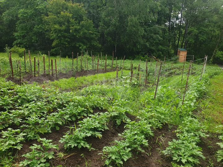 Дача 49,4 м² на участке 6 сот.