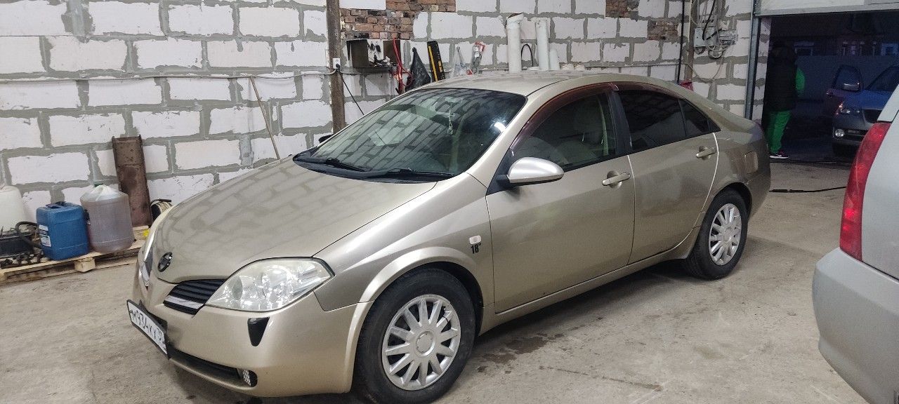 Nissan Primera: фото владельца