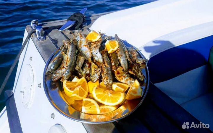 Морская рыбалка